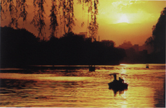 金色時(shí)光---謝曉音