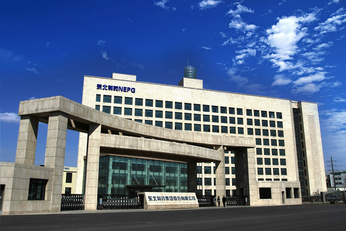 東北制藥與德國巴斯夫合資建設(shè)維生素C和其它系列產(chǎn)品裝置項目建議書核準評估